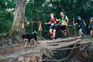 BIB: 
                            <button type="button" onclick="openModal(27312884)" class="btn btn-primary btn-sm float-right btn-popup" data-toggle="modal" data-target=".modal-high-quality">
                        <i class="fas fa-shopping-cart"></i> Add to Cart
                    </button>
                                            <button type="button" onclick="isThisMe(27312884, true)" class="btn btn-success btn-sm float-right btn-popup btn-isme hidden" data-toggle="tooltip" data-placement="bottom" title="นี่คือรูปของคุณใช่ไหม คลิกที่นี่เพื่อเอาเข้าอัลบั้ม">
                        <i class="fas fa-plus"></i> Add to album
                    </button>
                    <button type="button" onclick="isThisMe(27312884, false)" class="btn btn-warning btn-sm float-right btn-popup btn-isnotme hidden">
                        <i class="fas fa-ban"></i> Remove from album
                    </button>